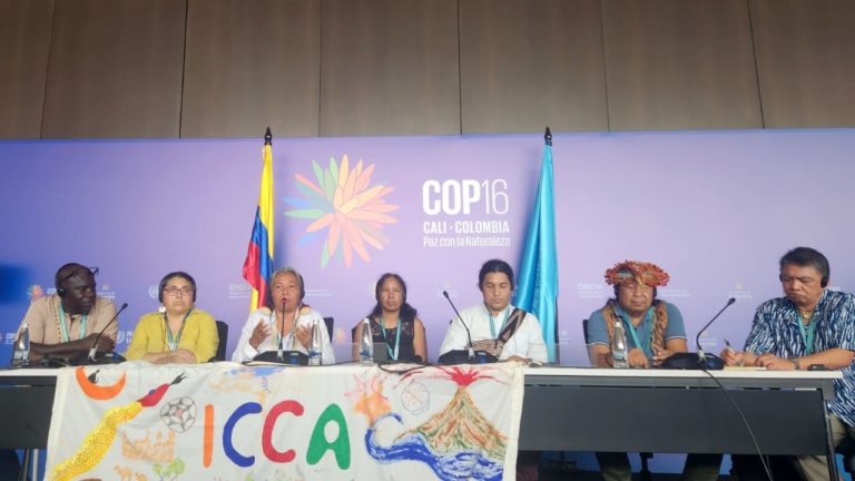 Déclaration du Consortium APAC à la COP 16 : Protéger la biodiversité et les territoires de vie